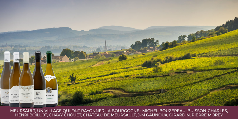 Meursault, un village qui fait rayonner la Bourgogne